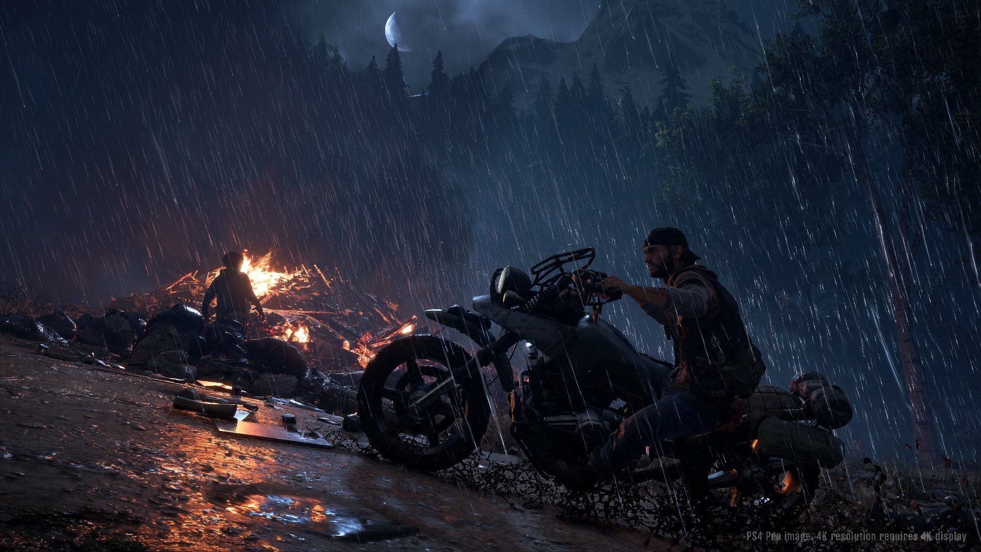 Days Gone - Imagen 18